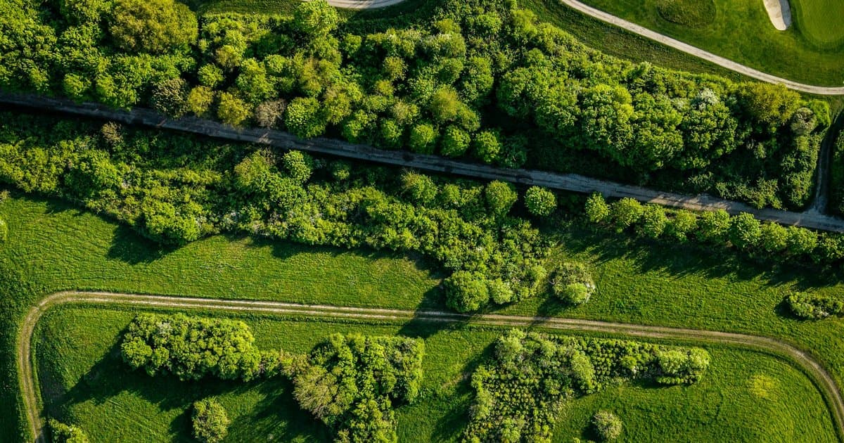 What Does a Bent Tree Home Sell For in 2026?