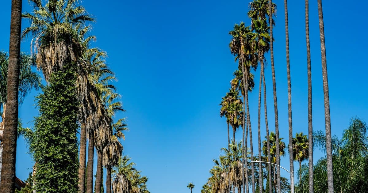 Where Exactly Is Cheviot Hills, and What Does a Home There Cost in 2026?