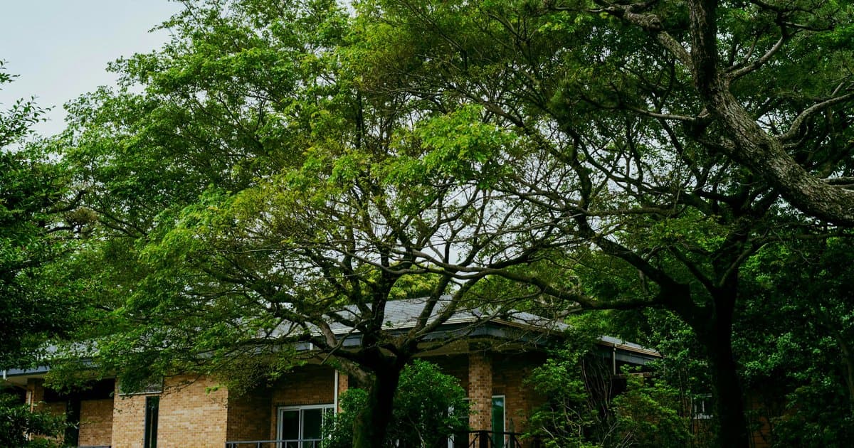 East Dallas in 2026: One Name, Two Markets, and a $206,000 Gap