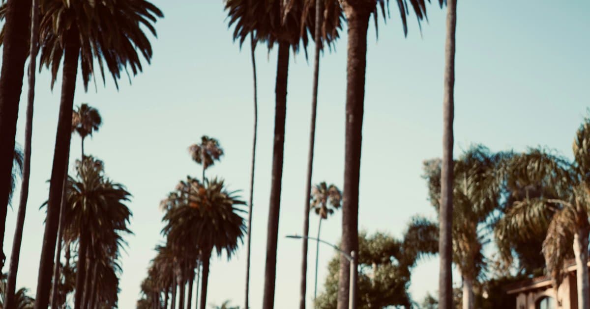 Which Part of Toluca Lake Should You Buy In? The Four Original Districts Explained
