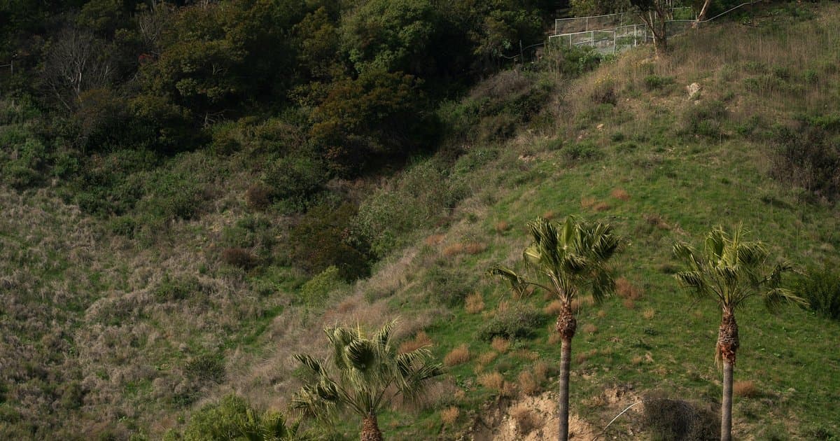 What Does It Cost to Buy in Longridge Estates, Sherman Oaks' Hillside Pocket?