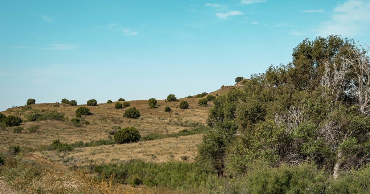 Texas Lot Loan: How to Finance Land in DFW Before You Build