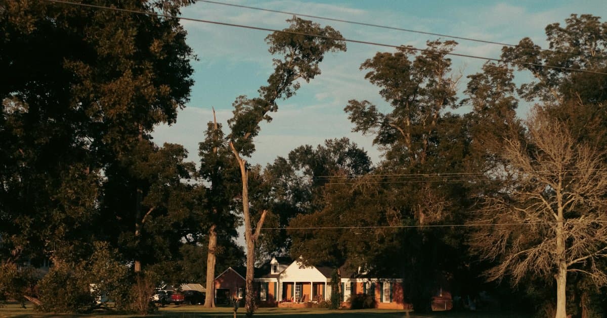What Does an Acre Cost in Nevada, Texas Right Now?
