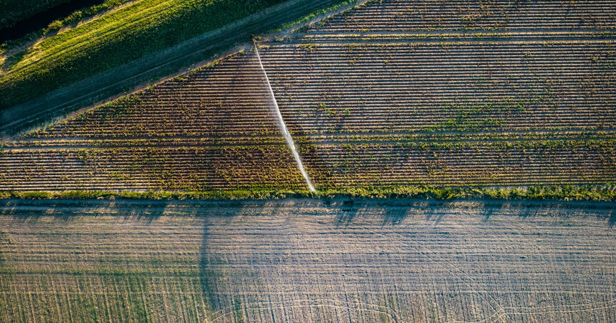 Aerial view of cultivated Texas fields with long fence shadows stretching across open land, representing the agricultural properties common in DFW's outer suburbs