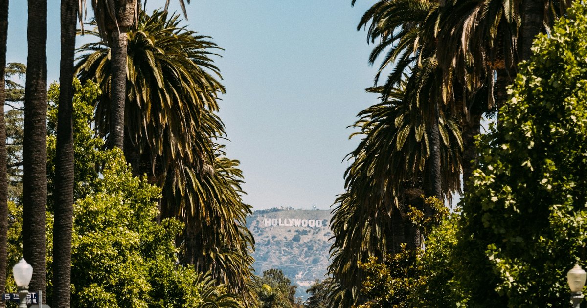 Palm-lined Los Angeles street framing the Hollywood Sign in the distance