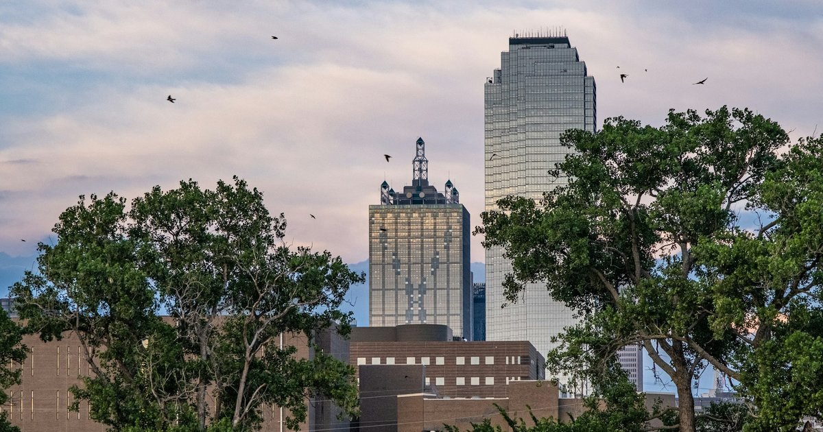 Downtown Dallas towers rising above a line of green trees near the Commerce Street Bridge