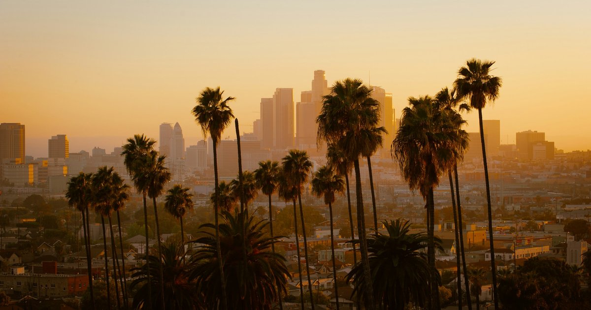 Palm trees silhouetted against the downtown Los Angeles skyline at golden hour, with low-rise residential rooftops in the foreground