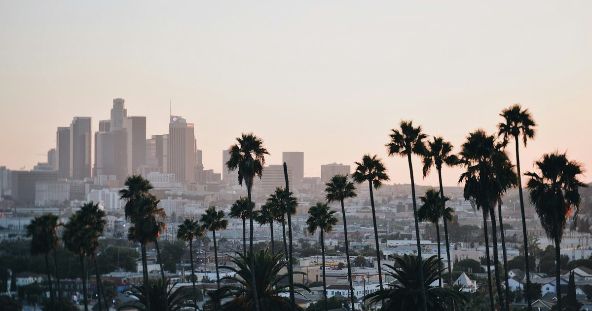 Palm trees rising above low rise Los Angeles rooftops with the downtown skyline in the distance at dusk
