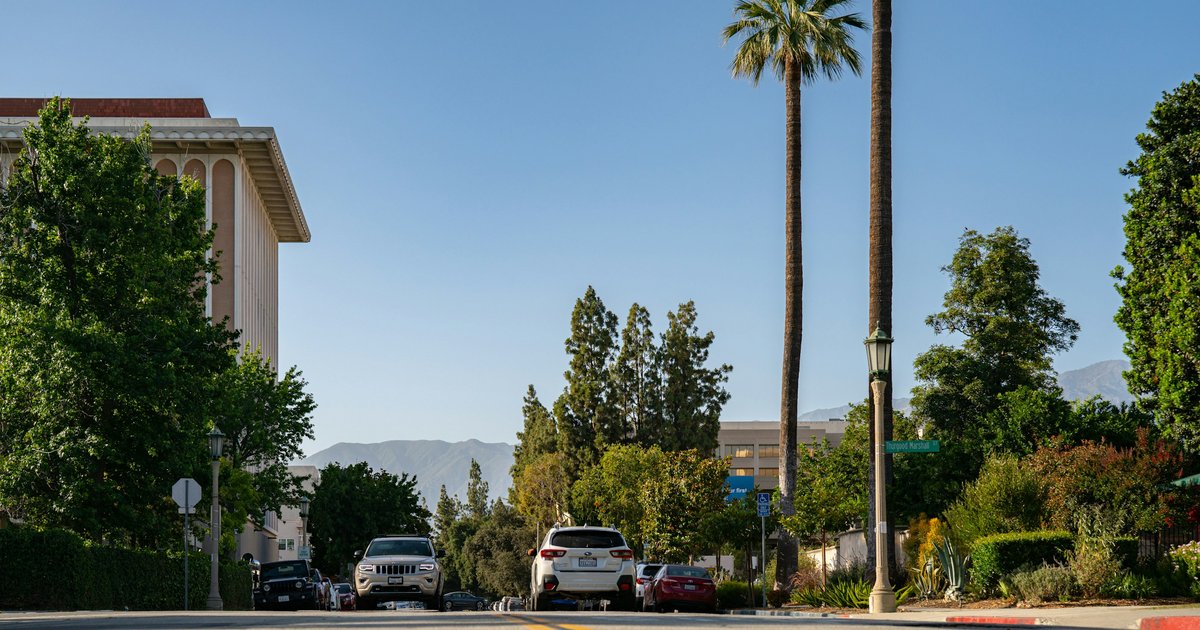 A tree-lined street with tall palm trees, parked cars, and foothills in the distance under a clear sky