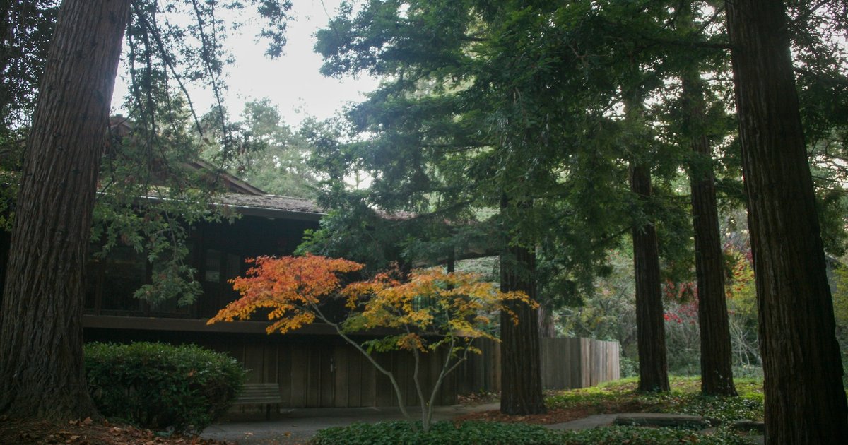 Mid-century style houses set among bare mature trees on a sloping hillside, illustrating the wooded, hilly setting typical of Kessler Park