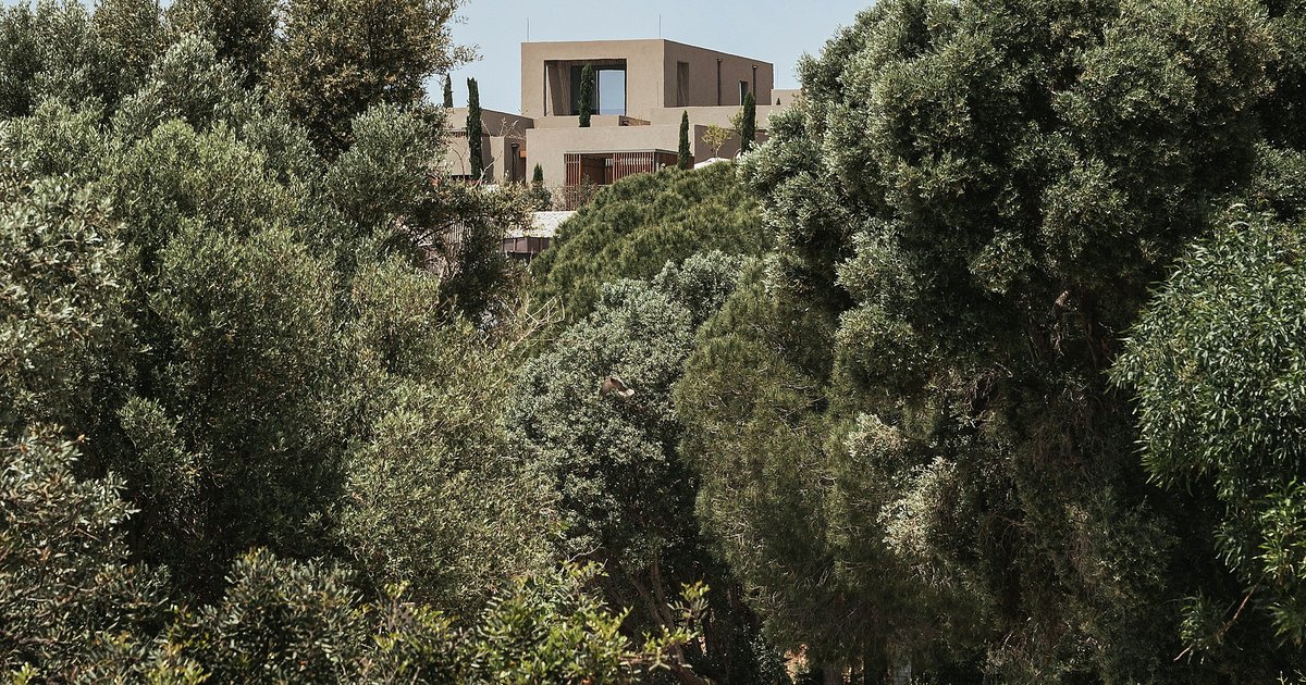 Modern homes set into a lush hillside with mature trees and palm cover above a Los Angeles canyon street