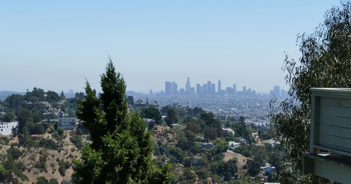 Hillside homes tucked into a chaparral slope with a eucalyptus tree in the foreground and the downtown Los Angeles skyline visible in the distance