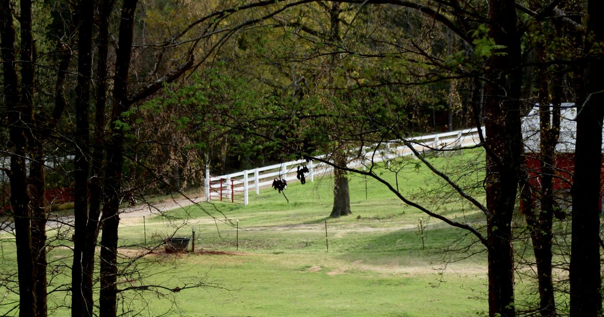 A white rail fence lines a green pasture framed by mature trees on a large-lot property near Lucas, Texas