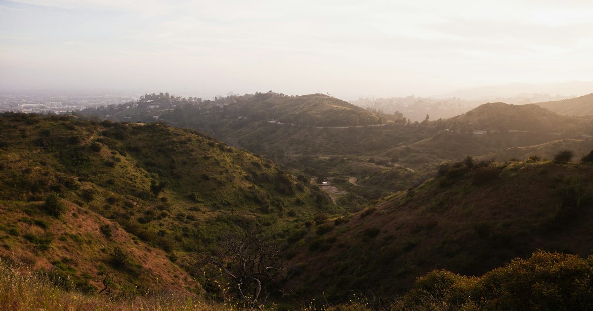 A hillside slope covered in dry brush and scattered vegetation in the Hollywood Hills, with no structures visible