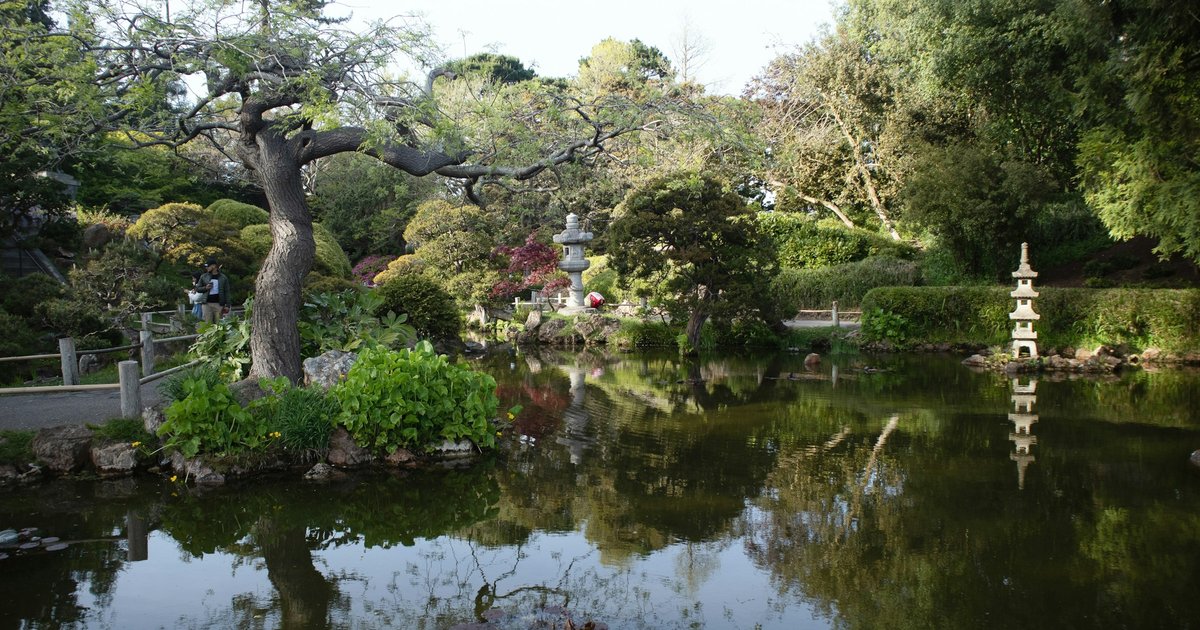 A pond ringed by trees in a park, with people on a walking bridge, similar to the green space around Murphy Central Park