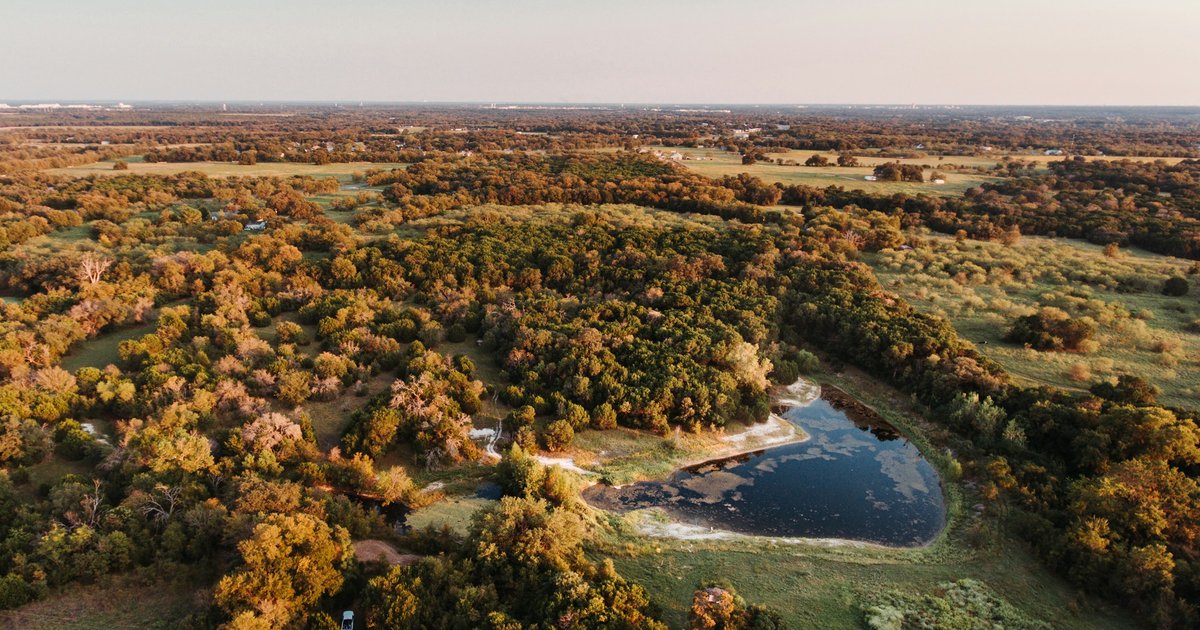 Aerial view of wooded Collin County countryside with a small pond at golden hour, the kind of open landscape that surrounds Nevada