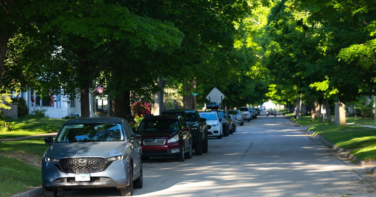 Tree-lined residential street with parked cars and mature green trees in an established suburban neighborhood