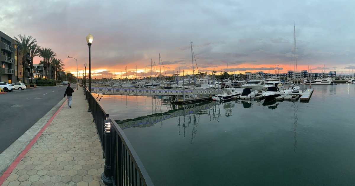 A paved waterfront walking path beside a marina at dusk with palm trees and a row of boats