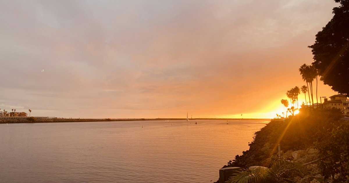 Sunset light over calm water with palm trees along a rocky shoreline on the Santa Monica Bay coast