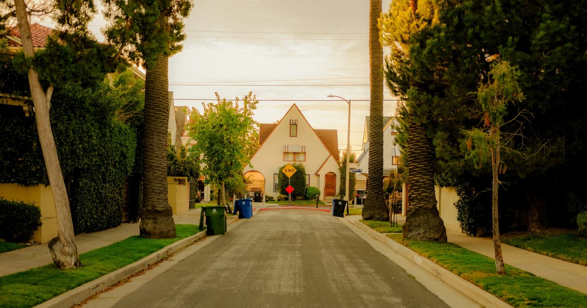 A palm-tree-lined residential street in Los Angeles with single-family homes under a clear blue sky