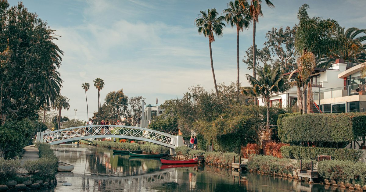 A white arched footbridge crossing a Venice canal, with palm trees, hedges, and small boats along the water