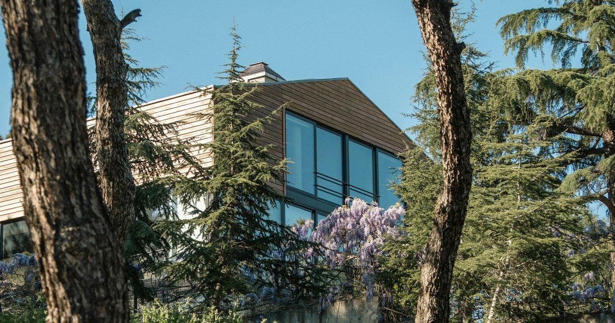 A contemporary hillside house with floor-to-ceiling glass walls partly screened by mature pines